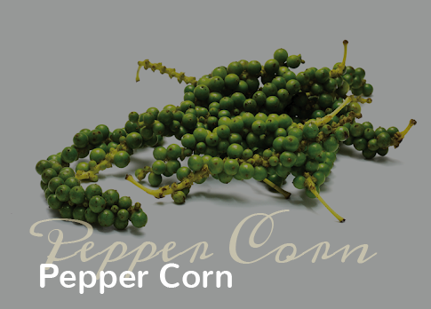 Pepper Corn