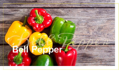 Bell Pepper