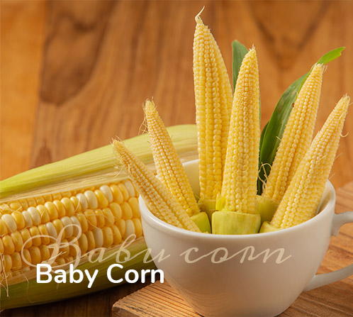 Baby Corn