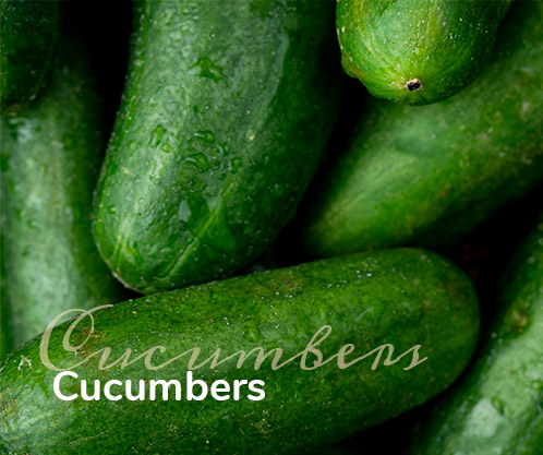 Cucumbers